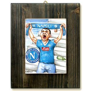 TIFOSO NAPOLI -quadro mattonella ceramica mestieri caricatura collezione idea regalo scherzo